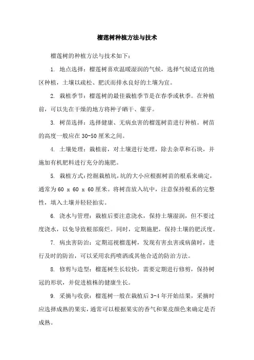 榴莲树种植方法与技术