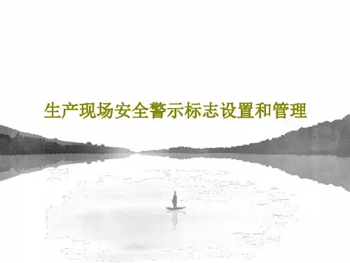生产现场安全警示标志设置和管理共91页