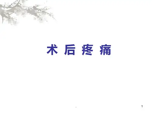 术后镇痛ppt课件