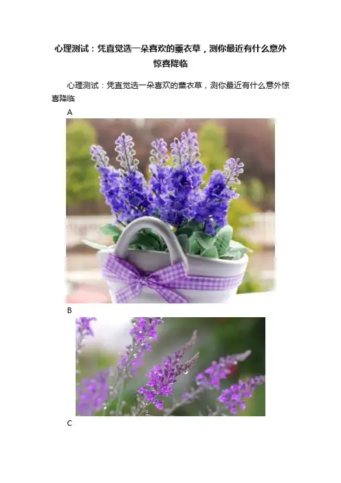 心理测试：凭直觉选一朵喜欢的薰衣草，测你最近有什么意外惊喜降临