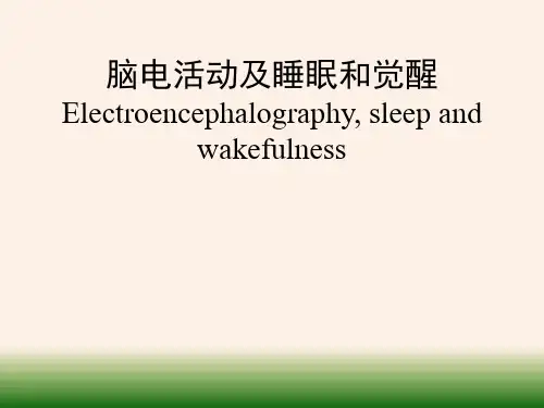 脑电活动及睡眠和觉醒