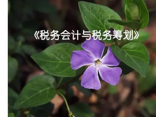 税务会计第一、二章课件