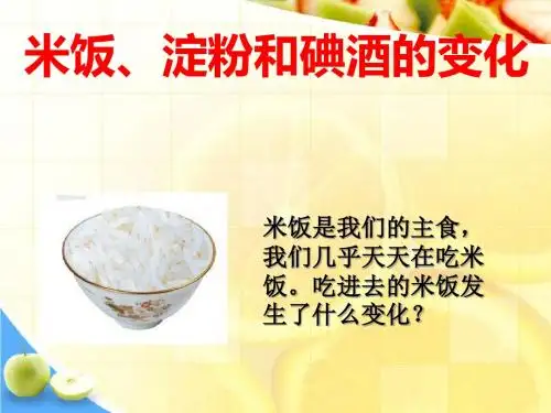 《米饭、淀粉和碘酒的变化》物质的变化PPT课件3