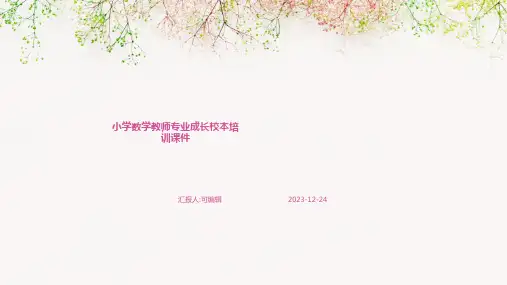 小学数学教师专业成长校本培训课件ppt