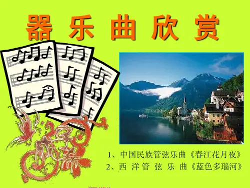 器乐曲欣赏