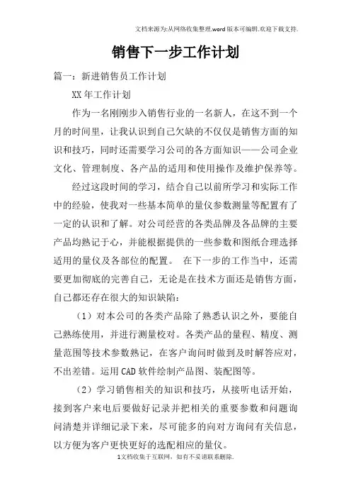 销售下一步工作计划