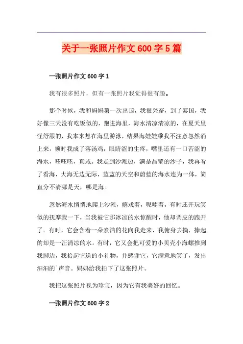 关于一张照片作文600字5篇