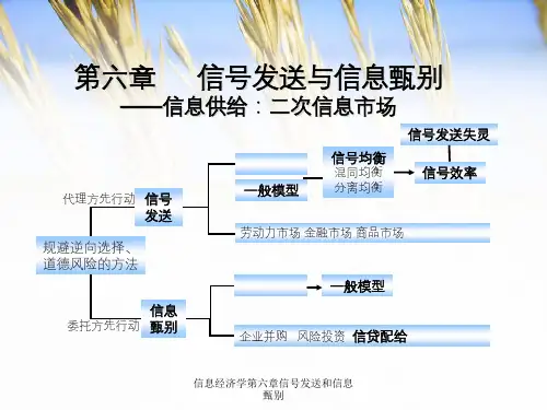 信息经济学第六章信号发送和信息甄别