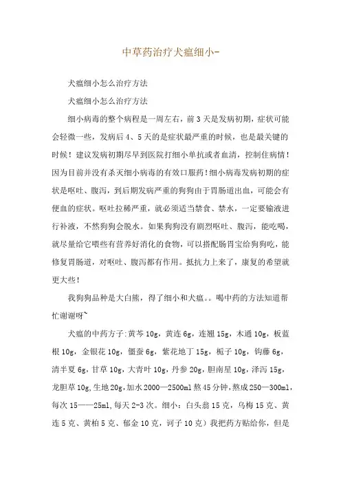 中草药治疗犬瘟细小--犬瘟细小怎么治疗方法
