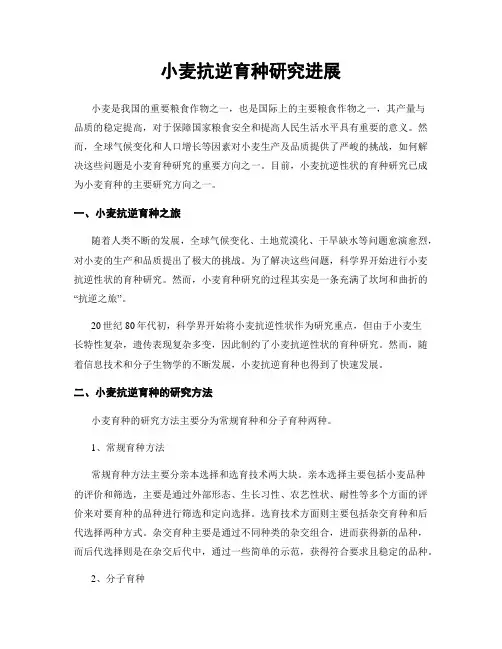 小麦抗逆育种研究进展
