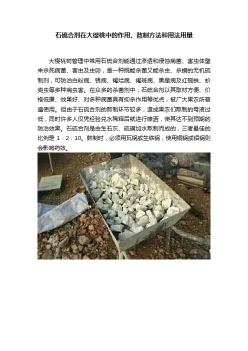 石硫合剂在大樱桃中的作用、熬制方法和用法用量