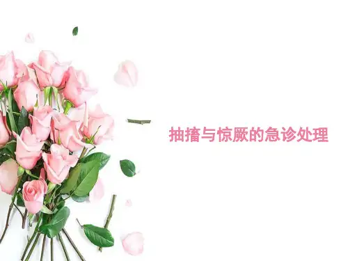 各型抽搐与惊厥急诊处理流程