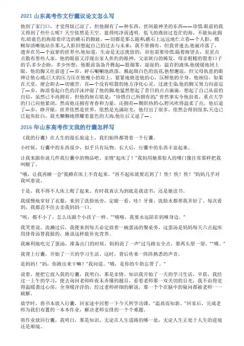 山东高考行囊作文范文
