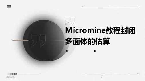 Micromine教程封闭多面体的估算