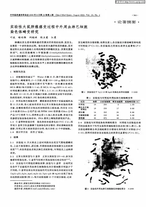 实验性大鼠肺癌癌变过程中外周血淋巴细胞染色体畸变研究