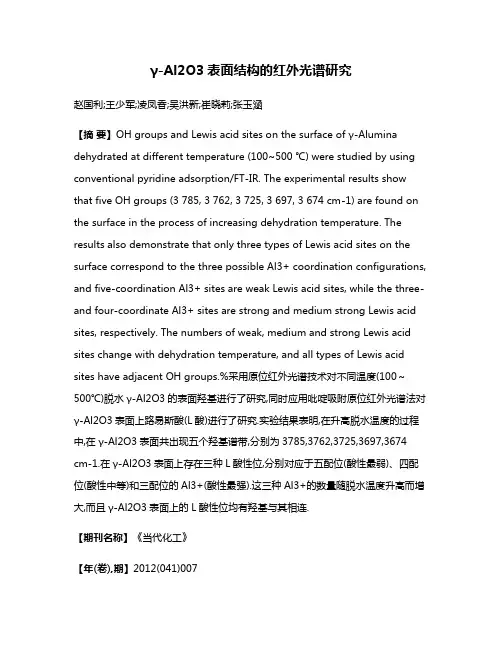 γ-Al2O3表面结构的红外光谱研究