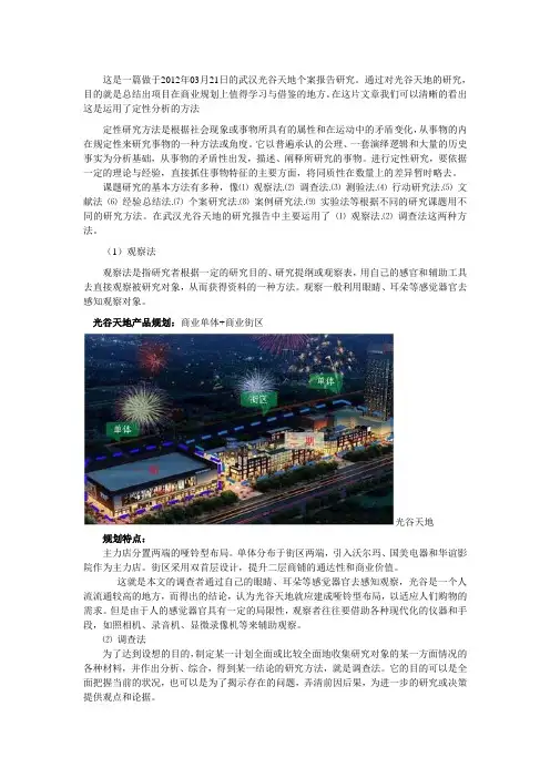 定性分析
