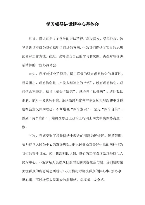 学习领导讲话精神心得体会