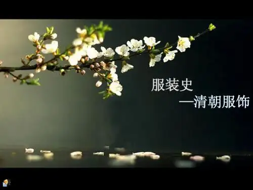 服装史