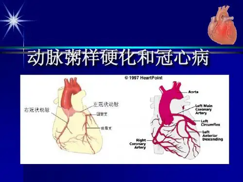 冠状动脉粥样硬化性心脏病