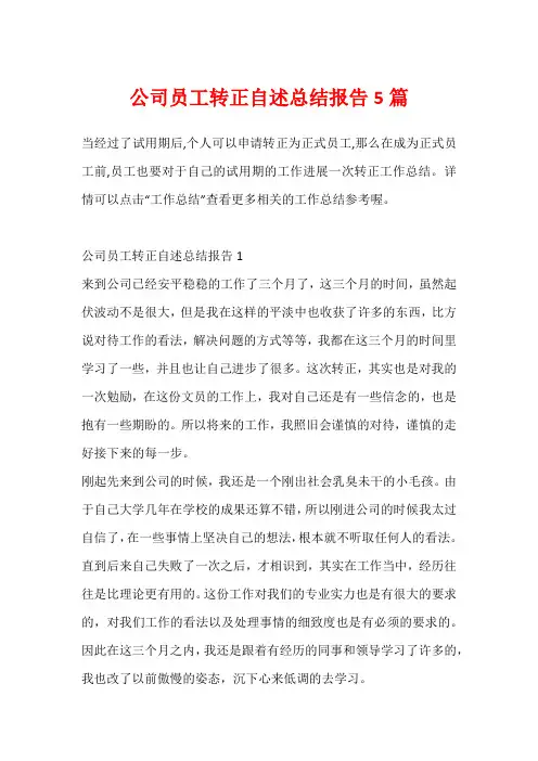 公司员工转正自述总结报告5篇