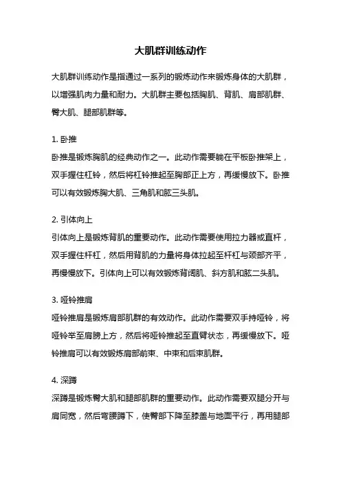 大肌群训练动作