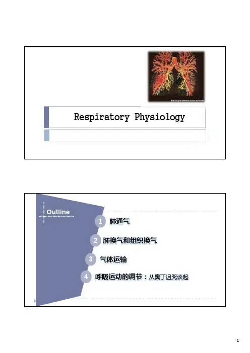 第五章5.14生理学PPT