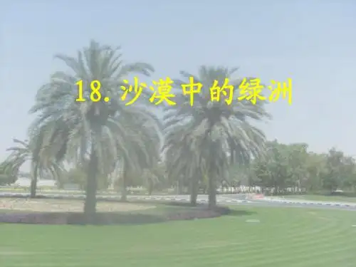 沙漠中的绿洲