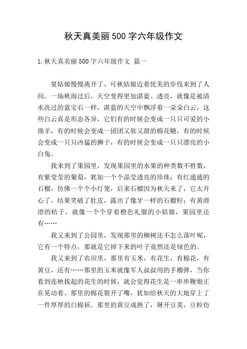 秋天真美丽500字六年级作文