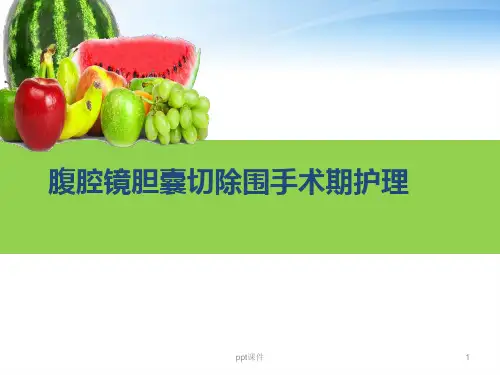 镜胆囊切除围手术期的护理  ppt课件