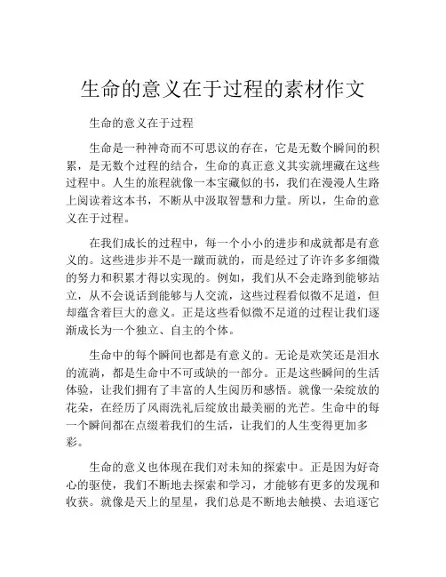 生命的意义在于过程的素材作文