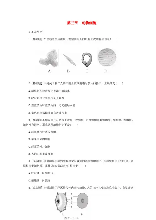 七年级生物上册第二单元第一章第三节动物细胞练习新版新人教版