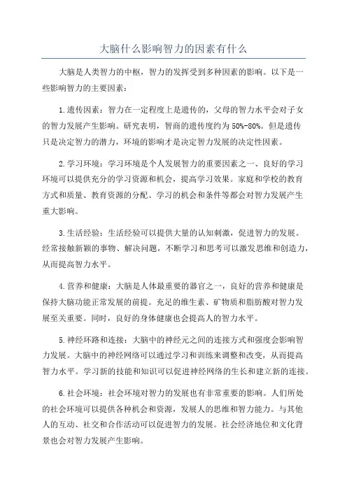 大脑什么影响智力的因素有什么