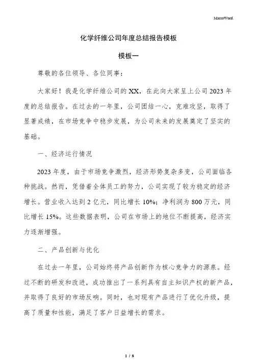 化学纤维公司年度总结报告模板