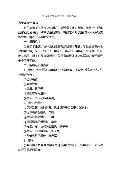 青少年课外活动方案（精选3篇）