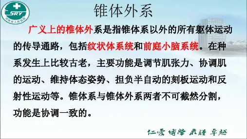 锥体外系