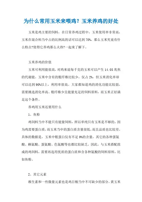 为什么常用玉米来喂鸡？玉米养鸡的好处