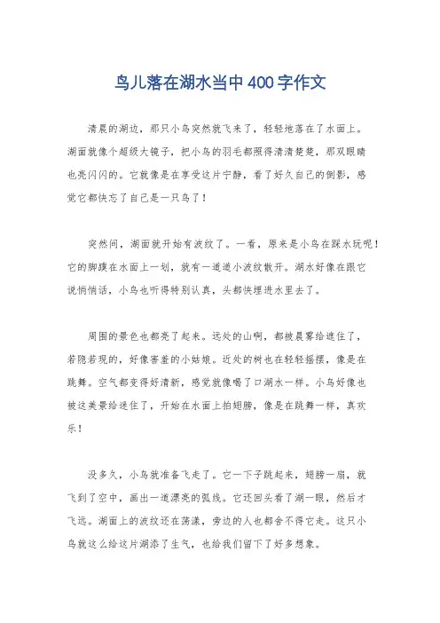 鸟儿落在湖水当中400字作文