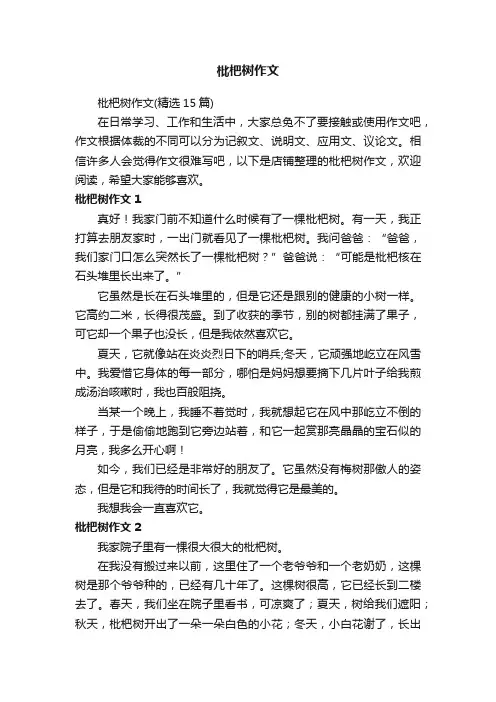 枇杷树作文