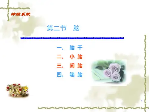 中枢神经系统--小脑课件