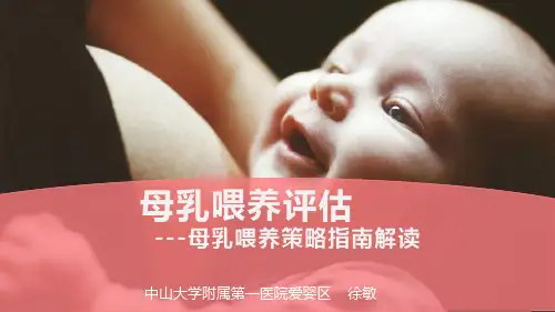 母乳喂养评估---母乳喂养促进策略指南解读(终版)ppt课件
