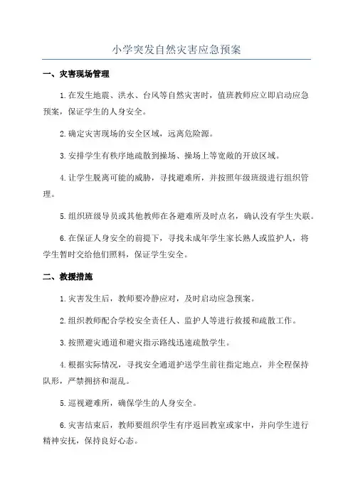 小学突发自然灾害应急预案
