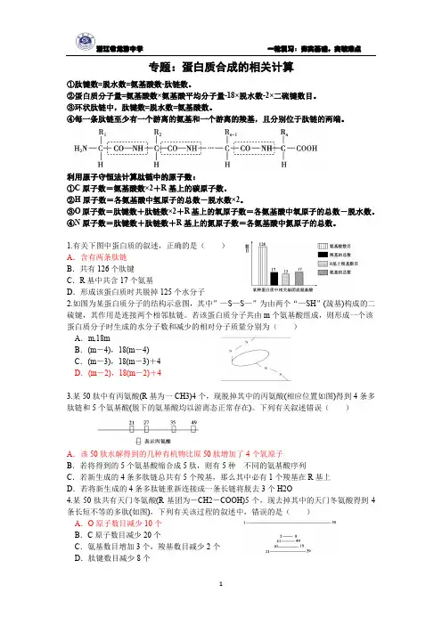 专题5-蛋白质类相关计算