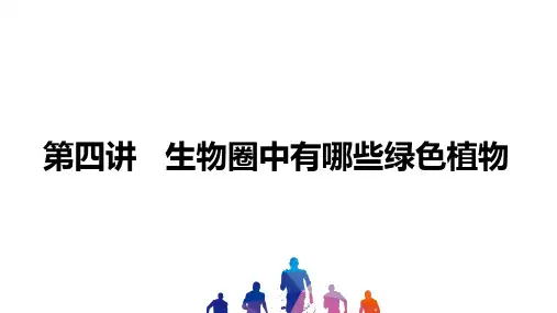 中考生物总复习 生物圈中有哪些绿色植物