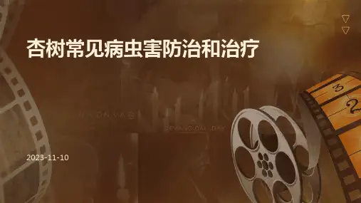 杏树常见病虫害防治和治疗