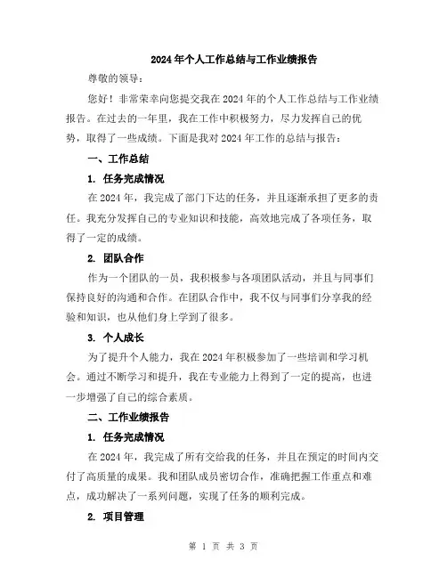 2024年个人工作总结与工作业绩报告