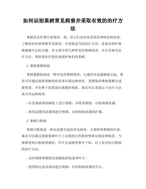如何识别果树常见病害并采取有效的治疗方法