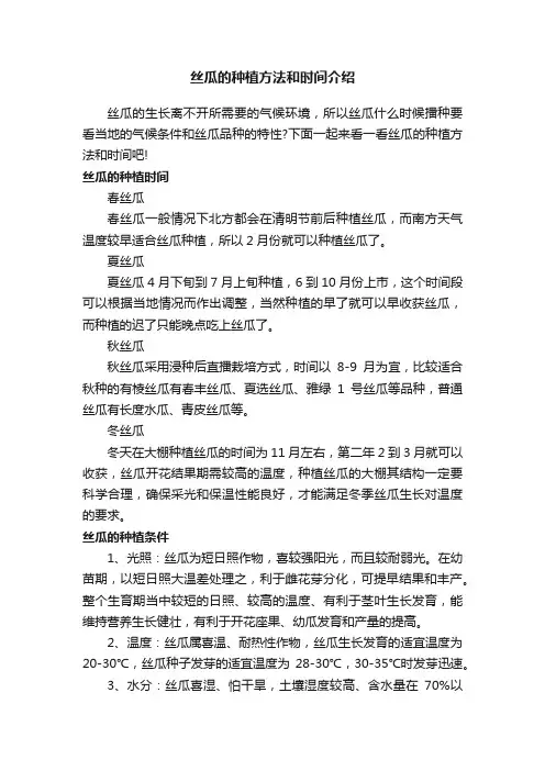 丝瓜的种植方法和时间介绍