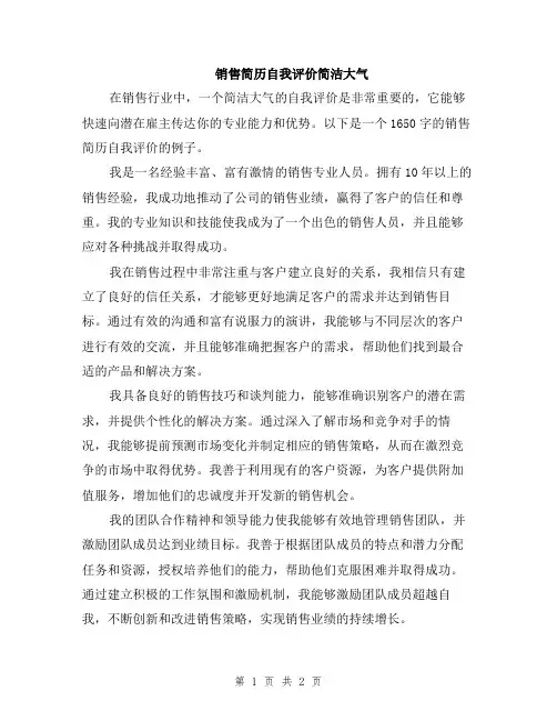 销售简历自我评价简洁大气