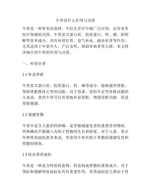 牛骨有什么作用与功效